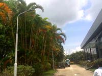 【廠區路燈改造】深圳業聚醫療器械 【廠區路燈改造】深圳業聚醫療器械