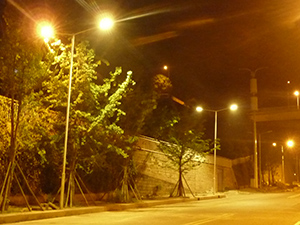 LED路燈暖黃光 LED路燈暖黃光