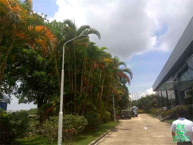 廠區路燈改造 廠區路燈改造